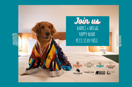 Pet Events at our Pet Friendly Hotels
